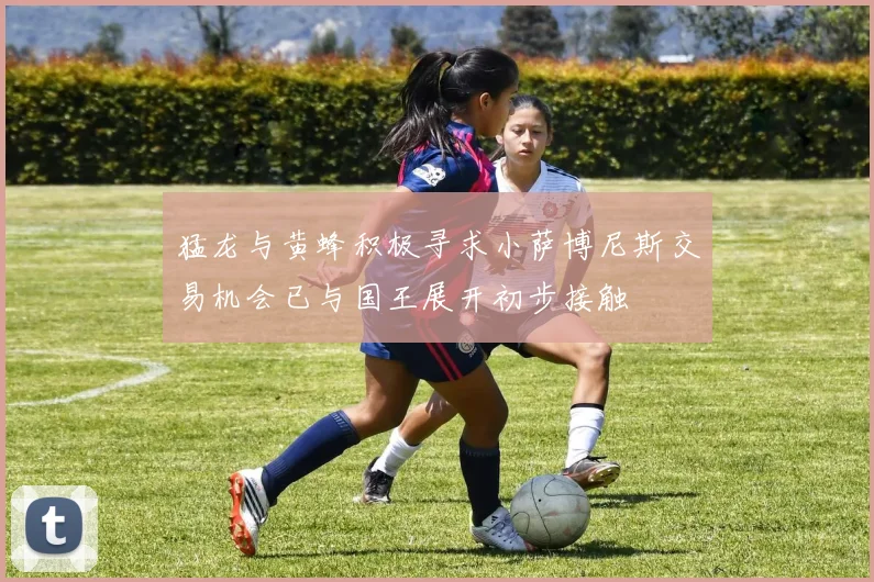 猛龙与黄蜂积极寻求小萨博尼斯交易机会已与国王展开初步接触
