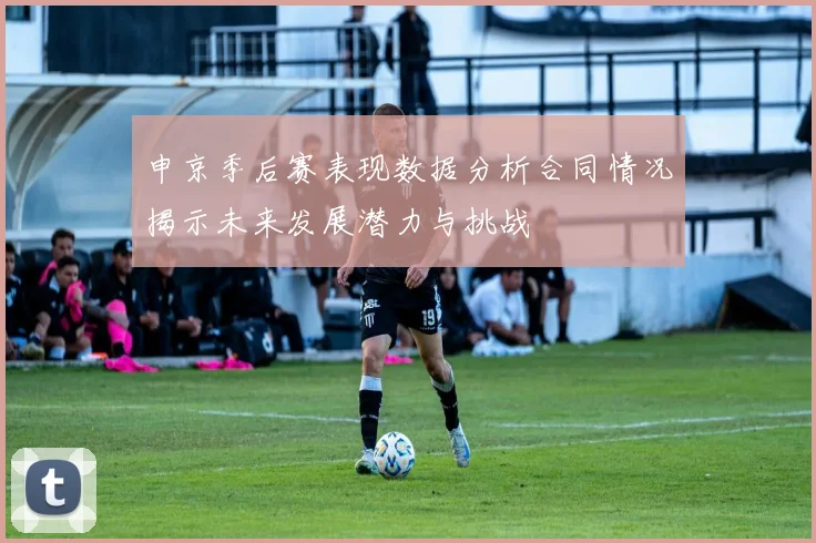 申京季后赛表现数据分析合同情况揭示未来发展潜力与挑战