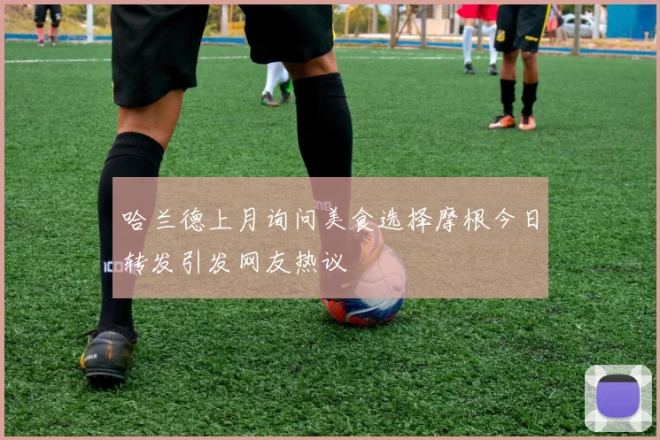 哈兰德上月询问美食选择摩根今日转发引发网友热议