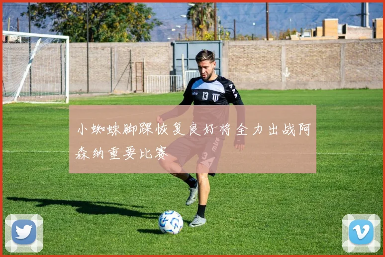 小蜘蛛脚踝恢复良好将全力出战阿森纳重要比赛